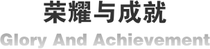 荣耀与成就标题图